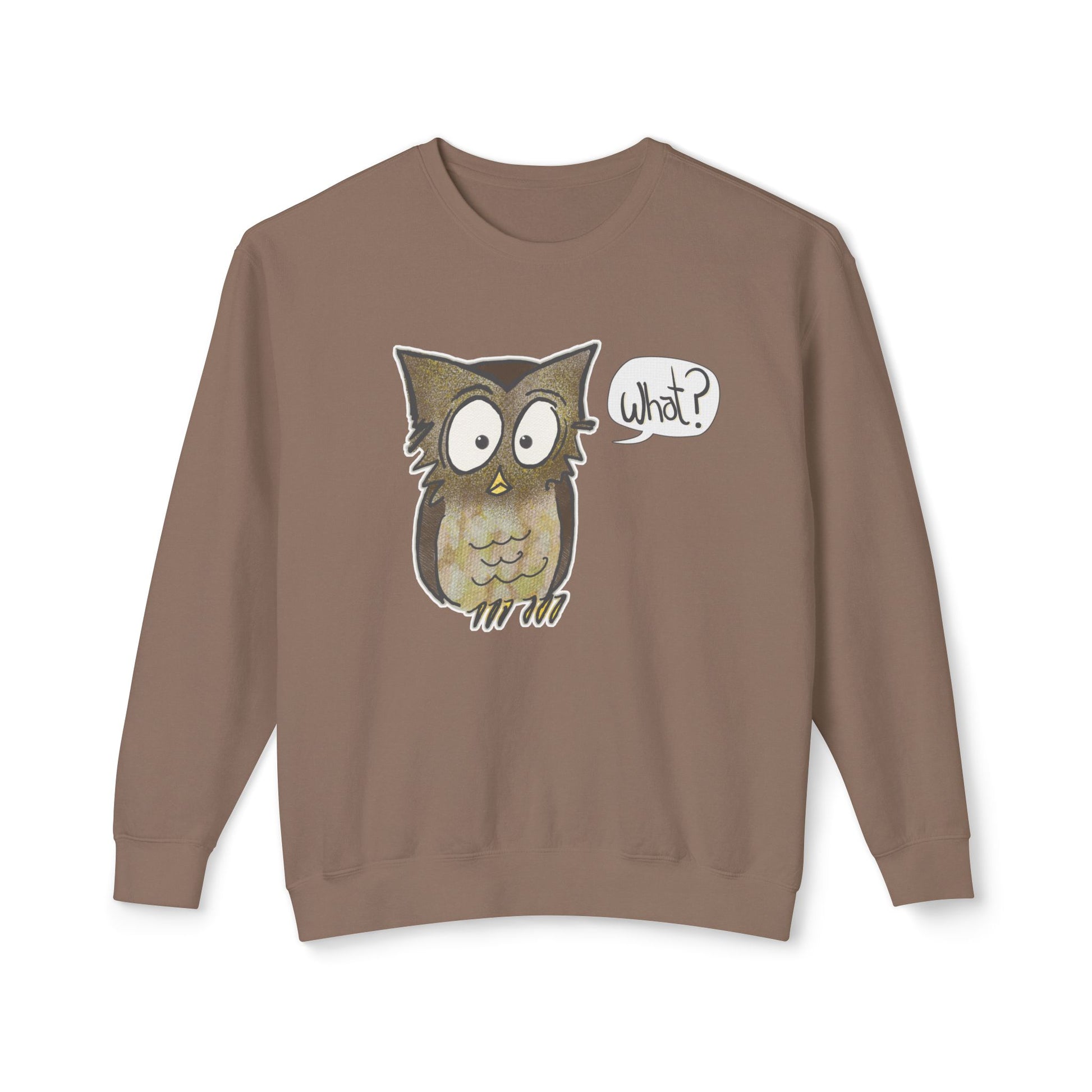 Brown sweatshirt with an owl graphic and 'What?' speech bubble on a white background