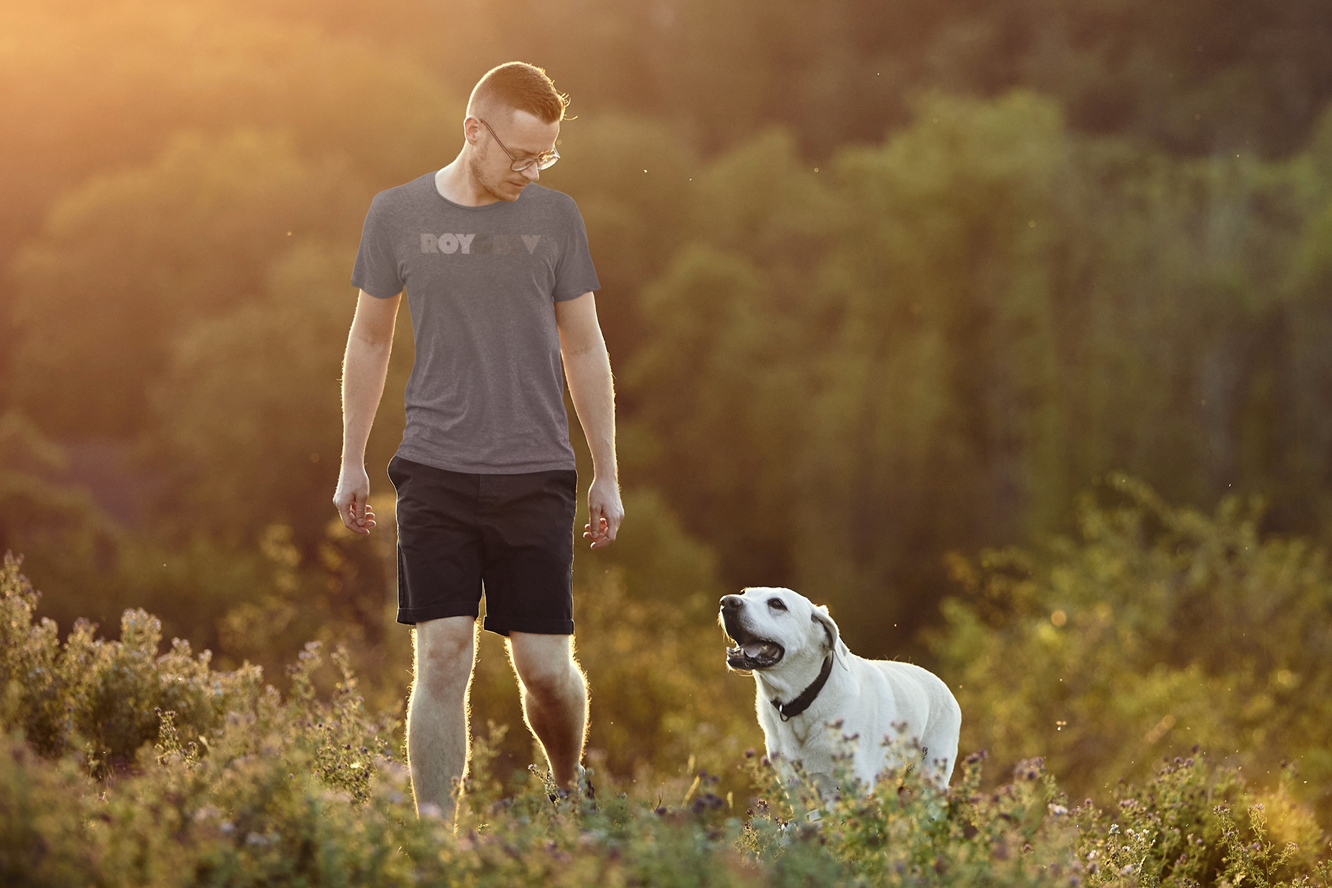 Man walking with a white dog in a field during sunset